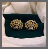 Beautiful Stone Stud In Nakshi - NE00451